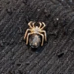 گل سینه کد 119